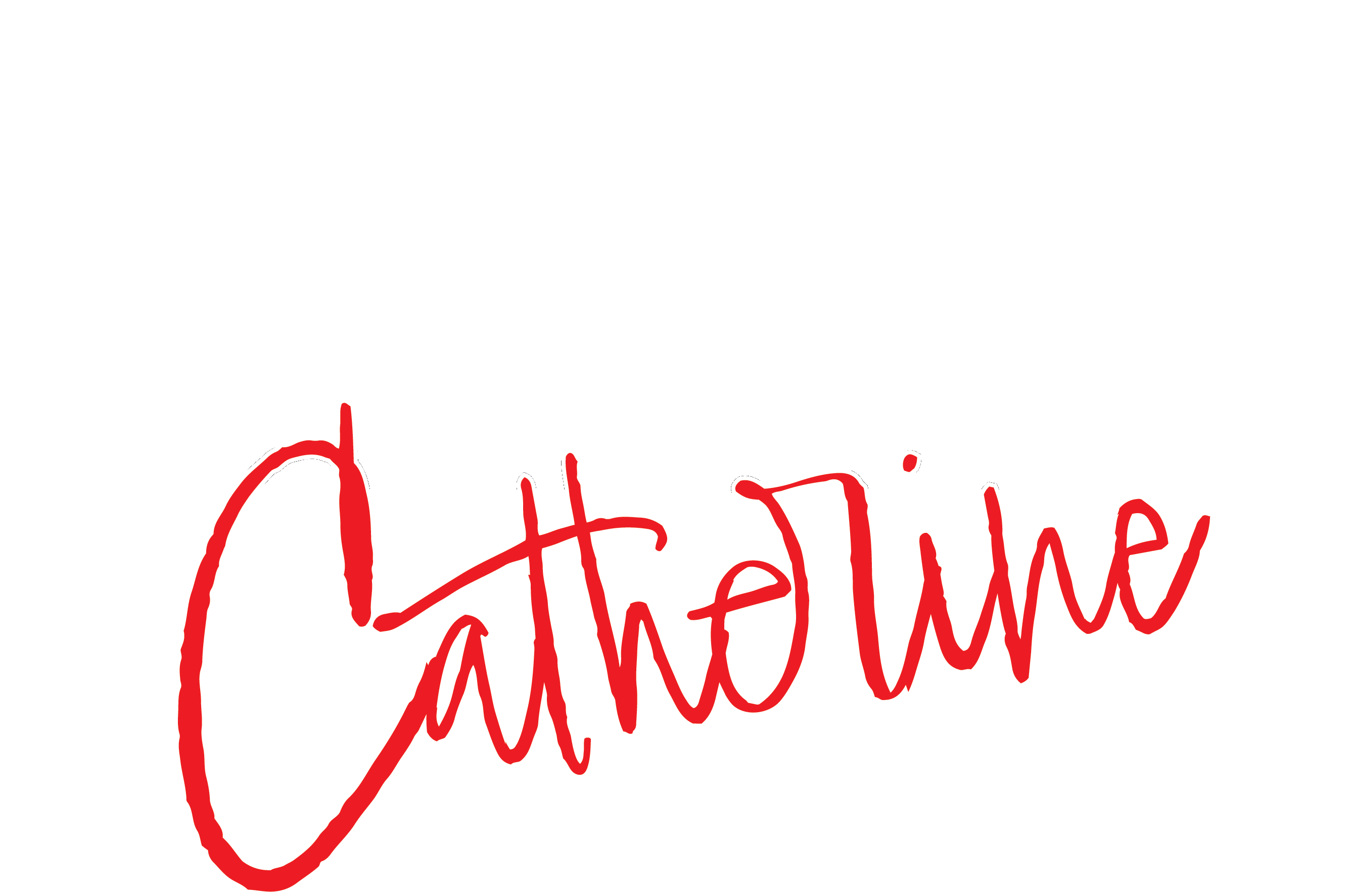 The Government Calls Me Catherine